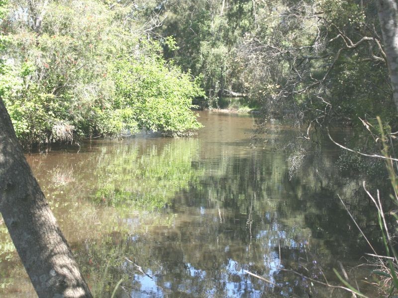 32 Tumbi Creek Road, Berkeley Vale NSW 2261