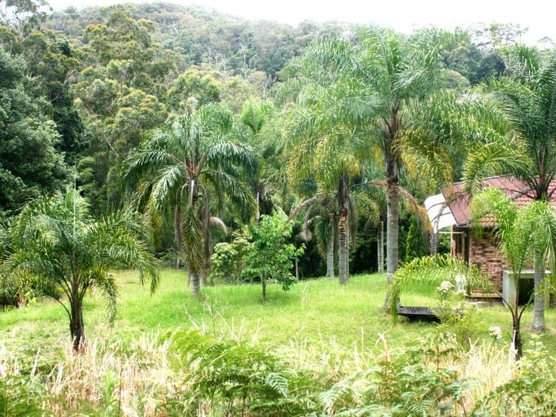 87 Picketts Valley Road, Picketts Valley NSW 2251