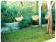 52 Second Avenue Broadlands Estate, Green Point NSW 2251