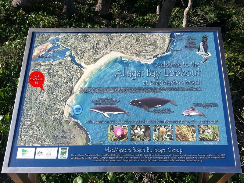 533 The Scenic Road, Macmasters Beach NSW 2251