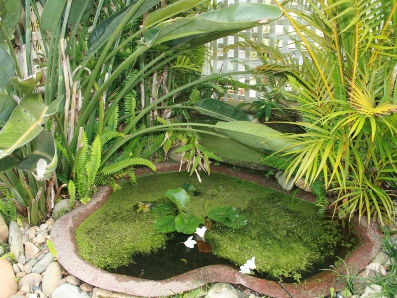 37 First Avenue Broadlands Estate, Green Point NSW 2251