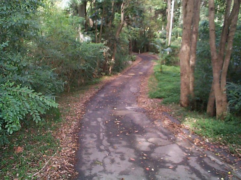 3/345 Wattle Tree Road, Holgate NSW 2250