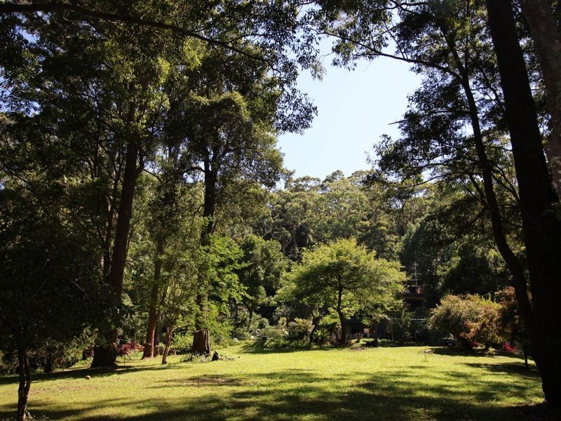 43 Paroo Road, Holgate NSW 2250