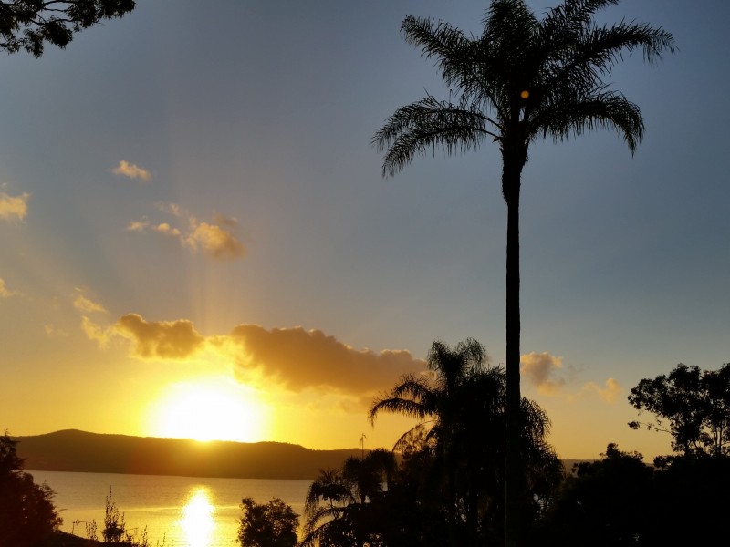 295 Avoca Drive, Green Point NSW 2251