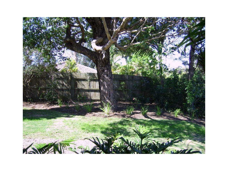 19 Orlando Cres, Kuluin QLD 4558