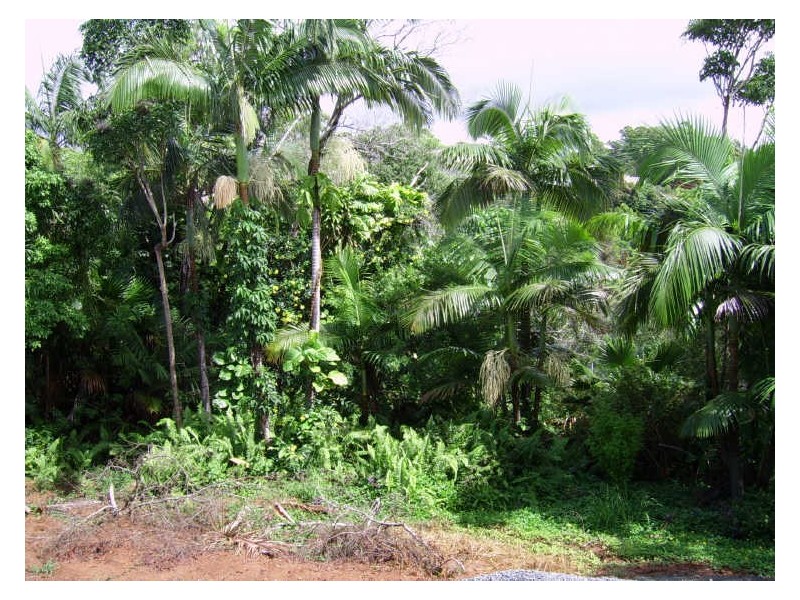 Buderim QLD 4556