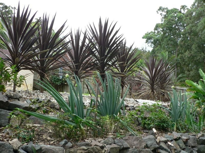 69 Jarrah Rd, Buderim QLD 4556