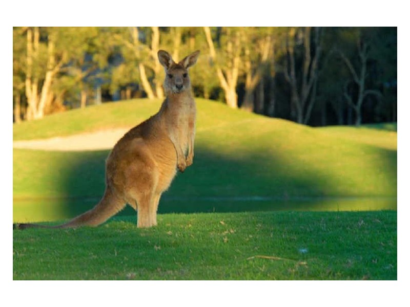 42/179 Ocean Dr, Twin Waters QLD 4564