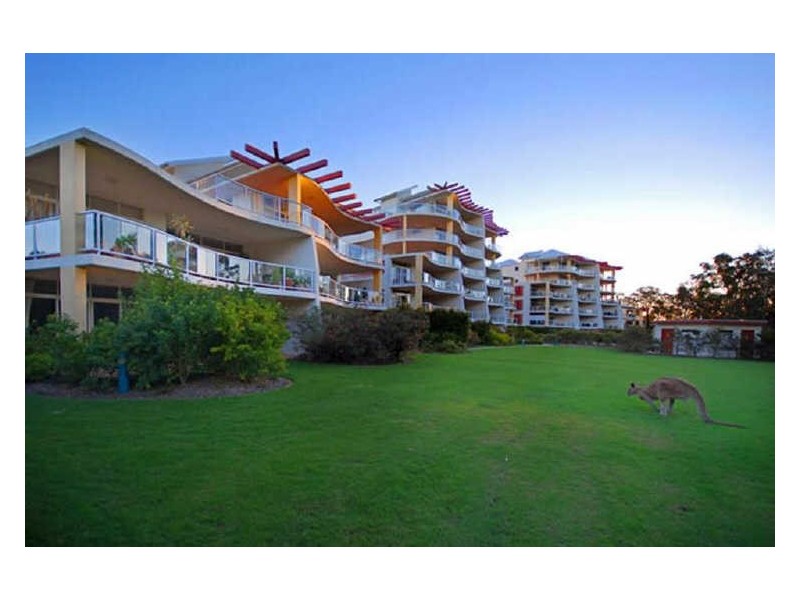 42/179 Ocean Dr, Twin Waters QLD 4564