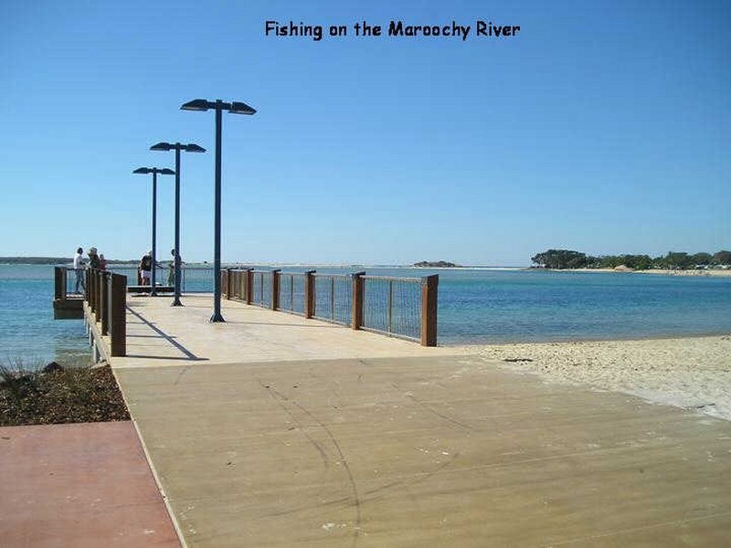 502/45-47 The Esplanade, Cotton Tree QLD 4558