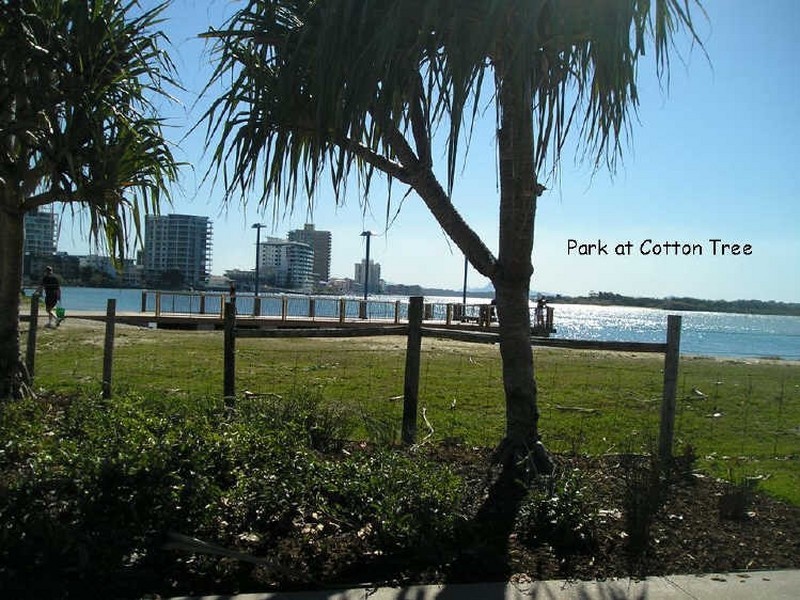 502/45-47 The Esplanade, Cotton Tree QLD 4558