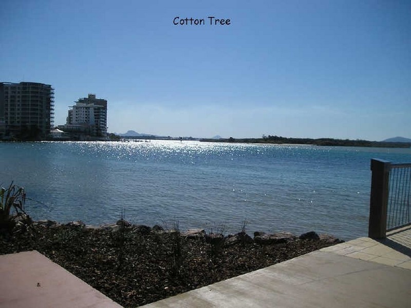 502/45-47 The Esplanade, Cotton Tree QLD 4558