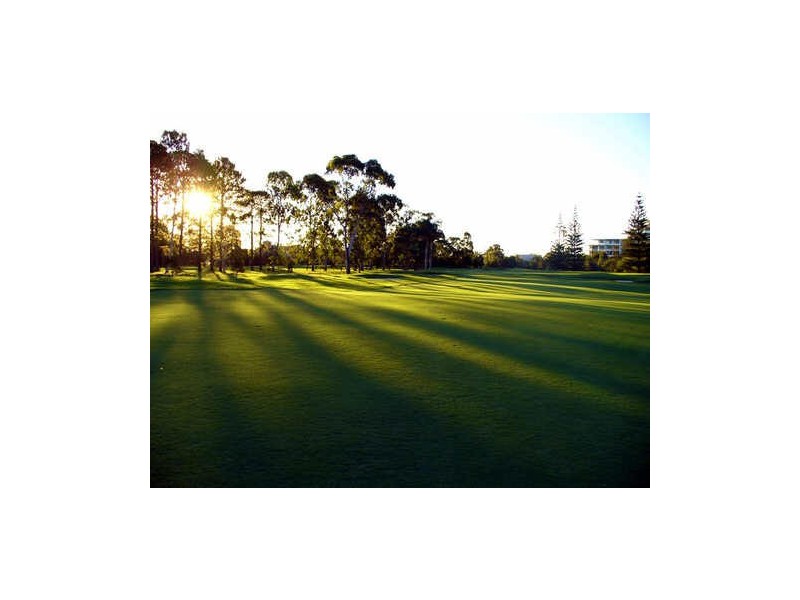 19 Millwell Rd, Maroochydore QLD 4558