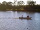 Diddillibah QLD 4559