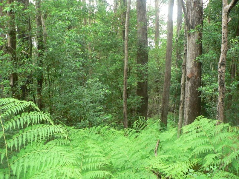 152 Kiel Mountain Rd, Woombye QLD 4559