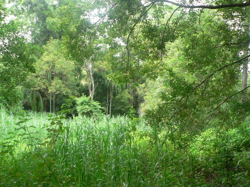 152 Kiel Mountain Rd, Woombye QLD 4559