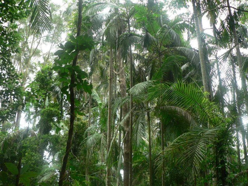 152 Kiel Mountain Rd, Woombye QLD 4559