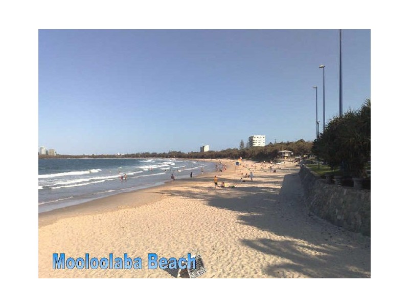 55 Douglas Street, Mooloolaba QLD 4557