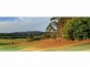 238 Diddillibah Road, Woombye QLD 4559