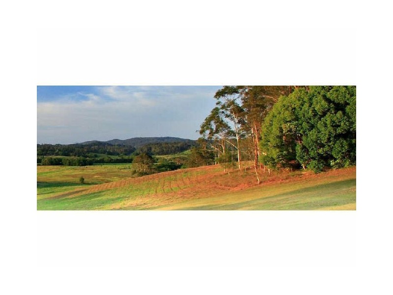 238 Diddillibah Road, Woombye QLD 4559
