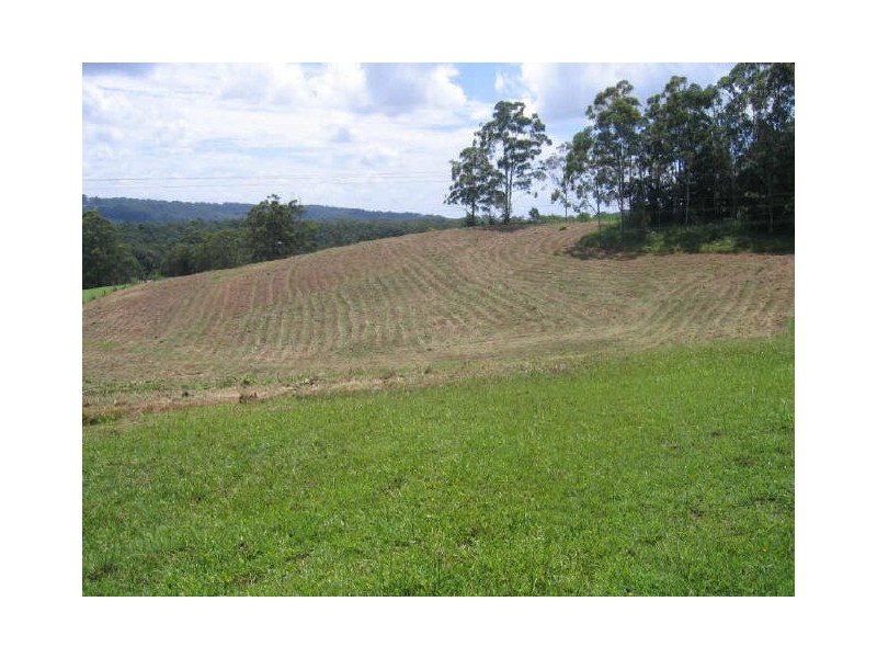 238 Diddillibah Road, Woombye QLD 4559