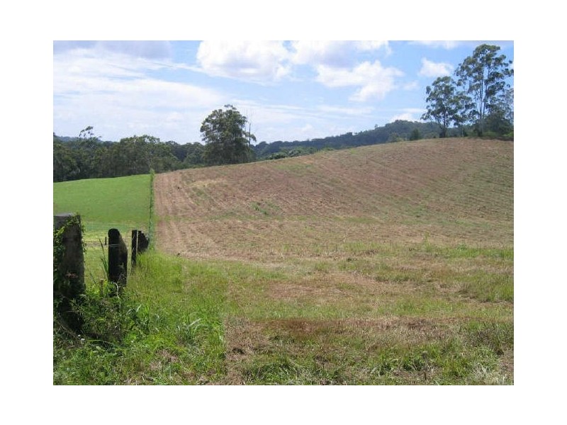 238 Diddillibah Road, Woombye QLD 4559