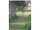238 Diddillibah Road, Woombye QLD 4559