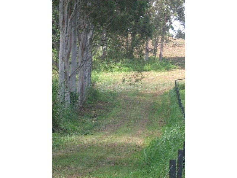 238 Diddillibah Road, Woombye QLD 4559