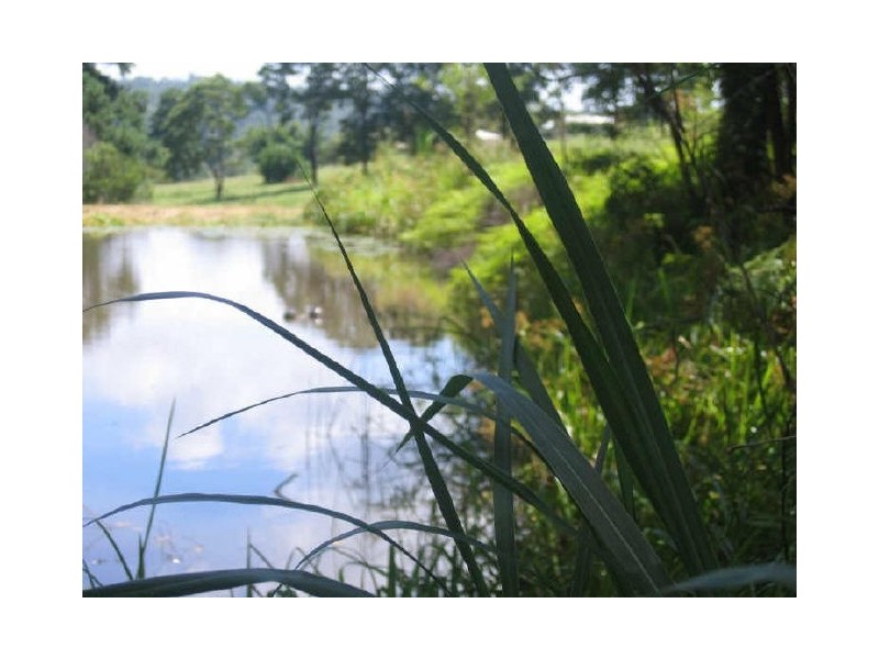 238 Diddillibah Road, Woombye QLD 4559