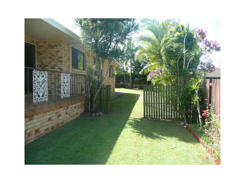 17 Tasol St, Bli Bli QLD 4560