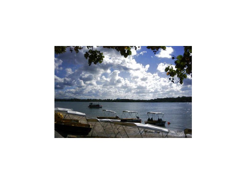 Maroochydore QLD 4558