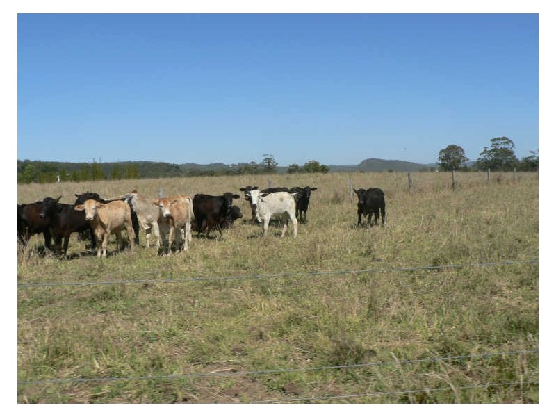 6/229 Yandina-Bli Bli Rd, Maroochy River QLD 4561