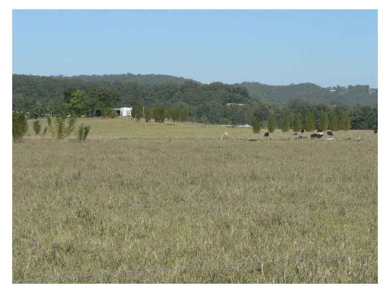 6/229 Yandina-Bli Bli Rd, Maroochy River QLD 4561