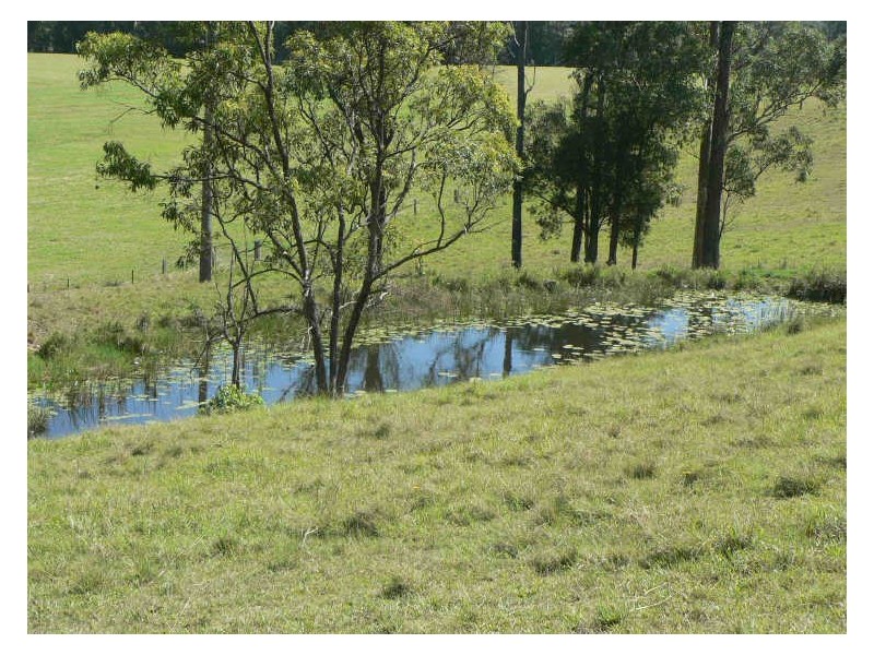 6/229 Yandina-Bli Bli Rd, Maroochy River QLD 4561