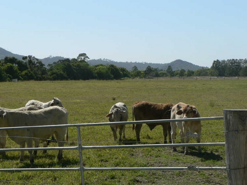 Lot 6/ Gobberts Rd, Yandina QLD 4561