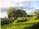 2/27 The Esplanade, Cotton Tree QLD 4558