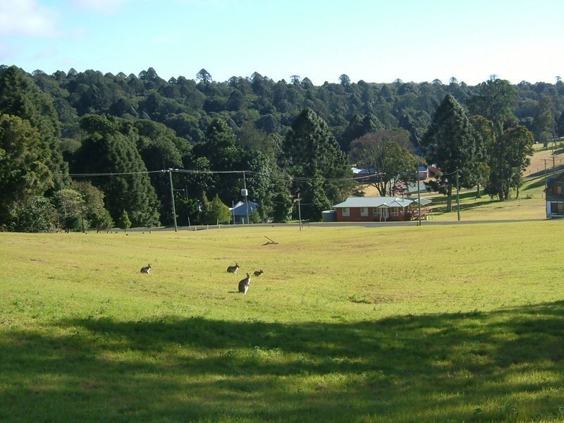 Bunya Avenue, Bunya Mountains QLD 4405