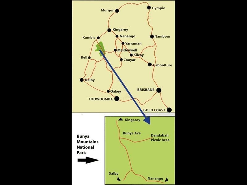 Bunya Avenue, Bunya Mountains QLD 4405