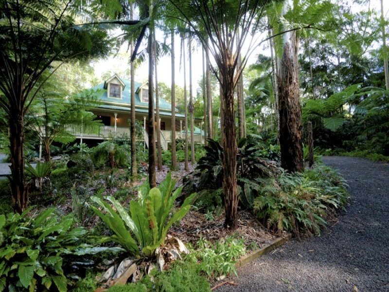 45 Mango Vale Ct, Diddillibah QLD 4559