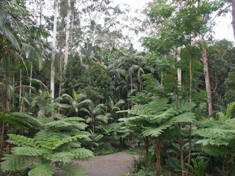 45 Mango Vale Ct, Diddillibah QLD 4559