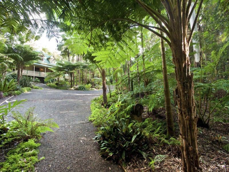 45 Mango Vale Ct, Diddillibah QLD 4559