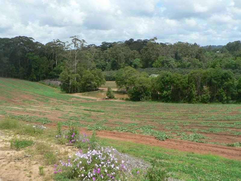 53 Atkinsons Rd, Woombye QLD 4559