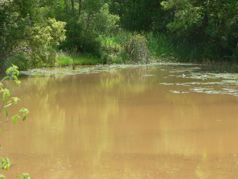 53 Atkinsons Rd, Woombye QLD 4559