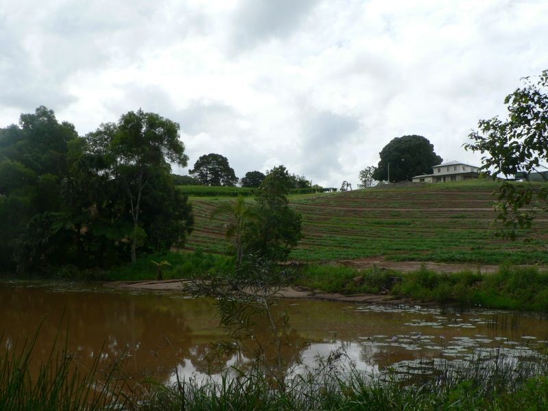 53 Atkinsons Rd, Woombye QLD 4559