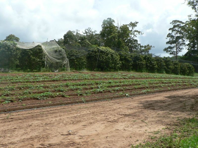 53 Atkinsons Rd, Woombye QLD 4559