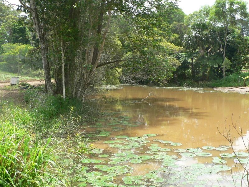 53 Atkinsons Rd, Woombye QLD 4559