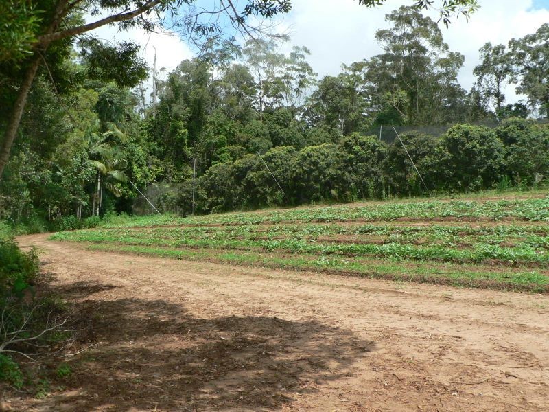 53 Atkinsons Rd, Woombye QLD 4559