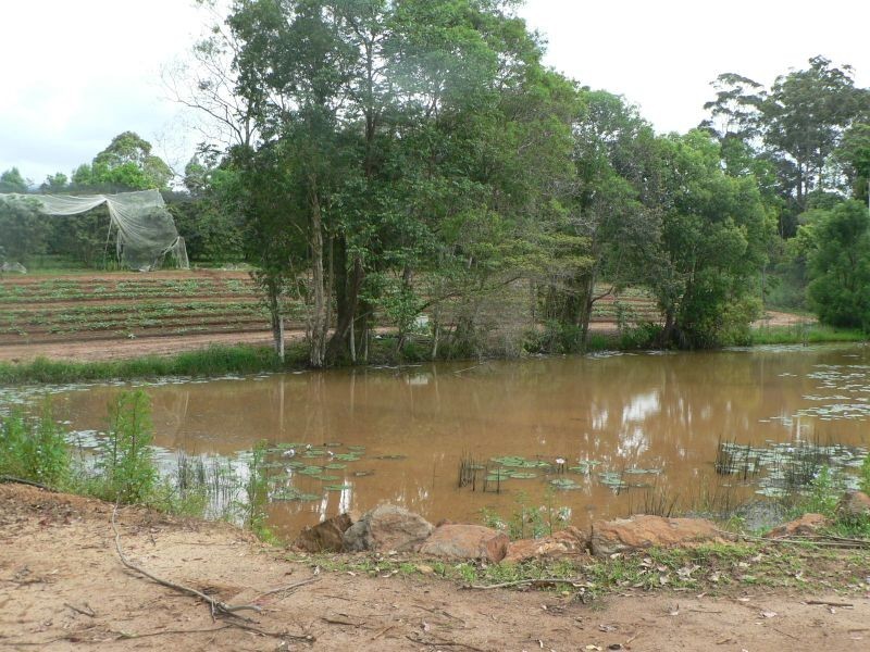 53 Atkinsons Rd, Woombye QLD 4559