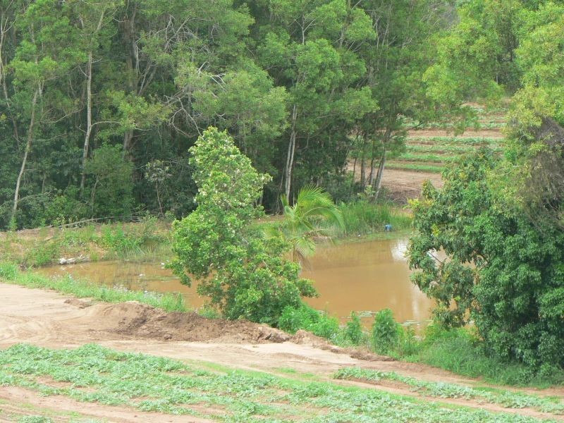 53 Atkinsons Rd, Woombye QLD 4559