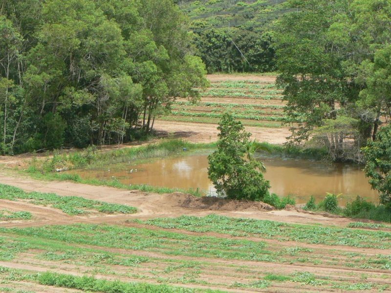 53 Atkinsons Rd, Woombye QLD 4559